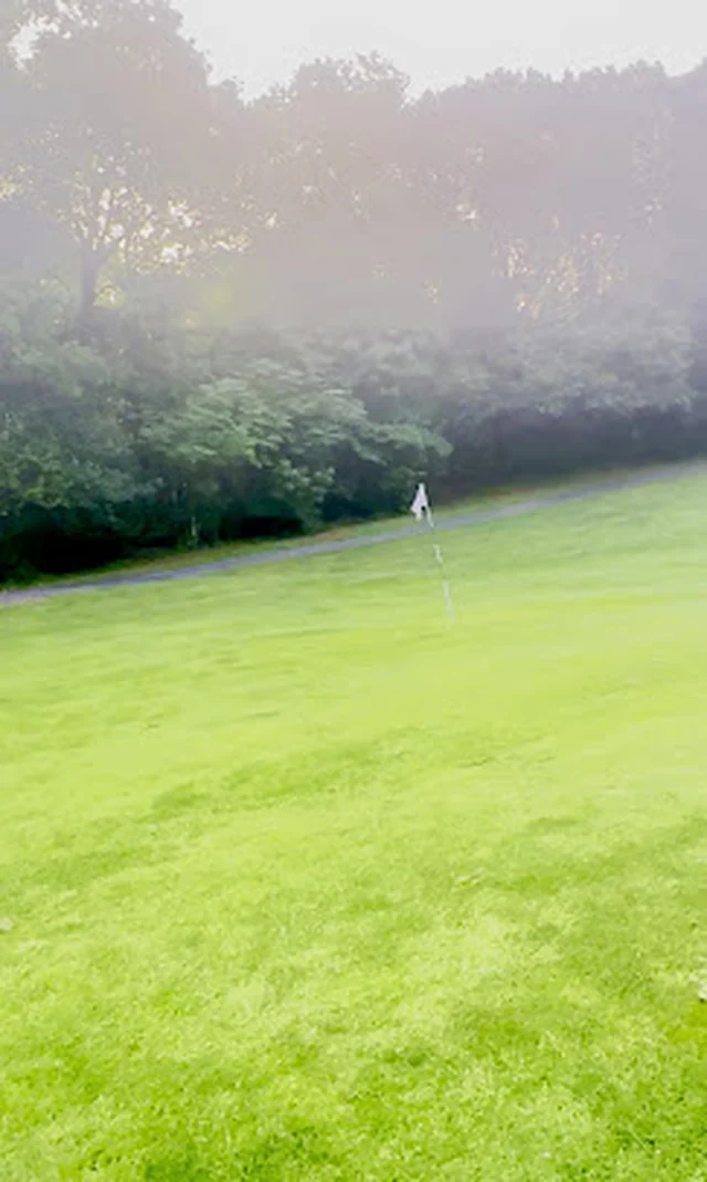 Wide sprinkler spray mist across a green lawn