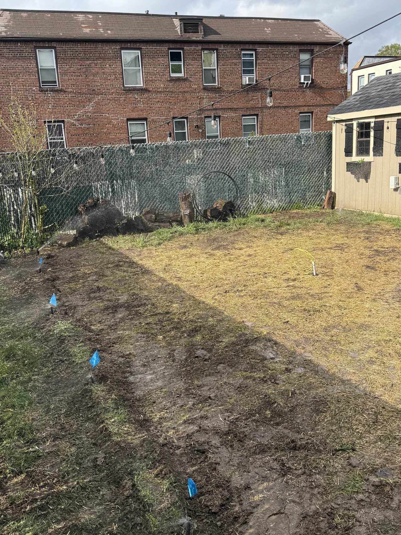 Residential lawn before irrigation service work