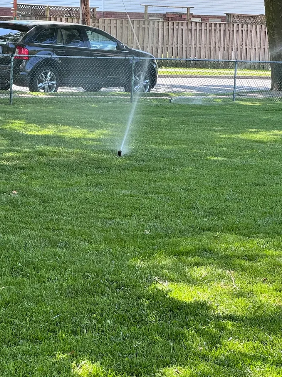 Sprinkler head watering a green lawn