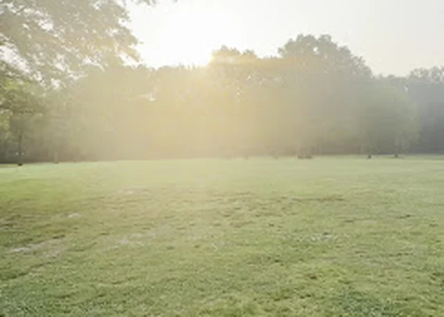 Morning lawn with sprinkler coverage